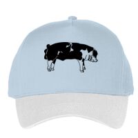 Classic 5-panel snapback (6007) Vignette