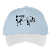 Classic 5-panel snapback (6007) Vignette