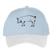 Classic 5-panel snapback (6007) Vignette