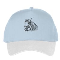 Classic 5-panel snapback (6007) Vignette