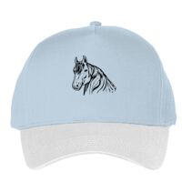 Classic 5-panel snapback (6007) Vignette