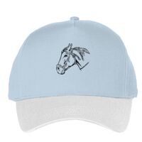 Classic 5-panel snapback (6007) Vignette