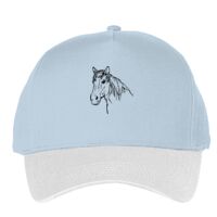 Classic 5-panel snapback (6007) Vignette