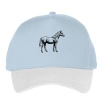 Classic 5-panel snapback (6007) Vignette