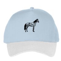 Classic 5-panel snapback (6007) Vignette