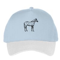 Classic 5-panel snapback (6007) Vignette