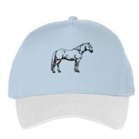 Classic 5-panel snapback (6007) Vignette