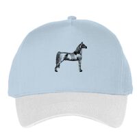 Classic 5-panel snapback (6007) Vignette