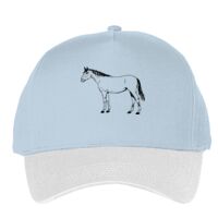 Classic 5-panel snapback (6007) Vignette