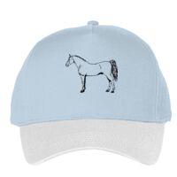 Classic 5-panel snapback (6007) Vignette