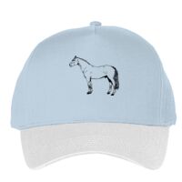 Classic 5-panel snapback (6007) Vignette