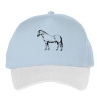 Classic 5-panel snapback (6007) Vignette