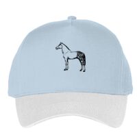 Classic 5-panel snapback (6007) Vignette