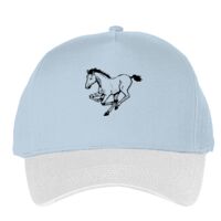 Classic 5-panel snapback (6007) Vignette