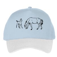 Classic 5-panel snapback (6007) Vignette