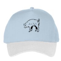 Classic 5-panel snapback (6007) Vignette