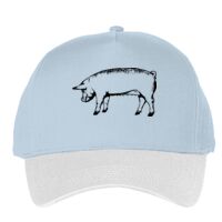 Classic 5-panel snapback (6007) Vignette