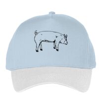 Classic 5-panel snapback (6007) Vignette