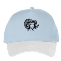 Classic 5-panel snapback (6007) Vignette