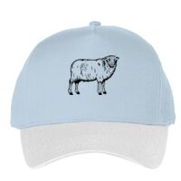 Classic 5-panel snapback (6007) Vignette