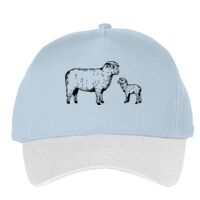 Classic 5-panel snapback (6007) Vignette