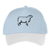 Classic 5-panel snapback (6007) Vignette