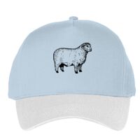 Classic 5-panel snapback (6007) Vignette