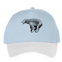 Classic 5-panel snapback (6007) Vignette