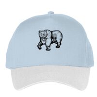 Classic 5-panel snapback (6007) Vignette