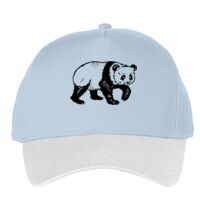 Classic 5-panel snapback (6007) Vignette