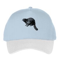 Classic 5-panel snapback (6007) Vignette