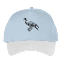 Classic 5-panel snapback (6007) Vignette