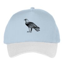 Classic 5-panel snapback (6007) Vignette