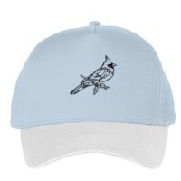 Classic 5-panel snapback (6007) Vignette