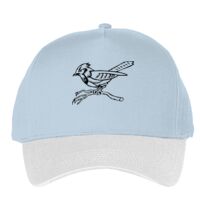 Classic 5-panel snapback (6007) Vignette