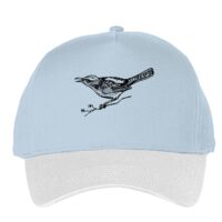 Classic 5-panel snapback (6007) Vignette