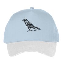 Classic 5-panel snapback (6007) Vignette