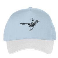 Classic 5-panel snapback (6007) Vignette