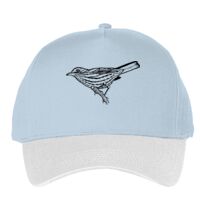 Classic 5-panel snapback (6007) Vignette