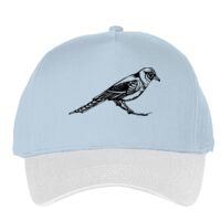 Classic 5-panel snapback (6007) Vignette