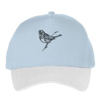 Classic 5-panel snapback (6007) Vignette