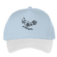 Classic 5-panel snapback (6007) Vignette