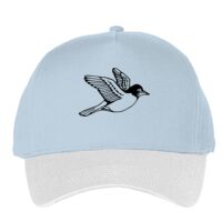 Classic 5-panel snapback (6007) Vignette