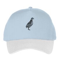 Classic 5-panel snapback (6007) Vignette