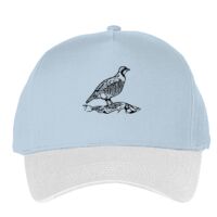 Classic 5-panel snapback (6007) Vignette