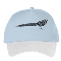 Classic 5-panel snapback (6007) Vignette