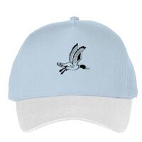 Classic 5-panel snapback (6007) Vignette