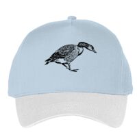 Classic 5-panel snapback (6007) Vignette