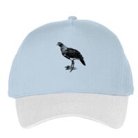 Classic 5-panel snapback (6007) Vignette