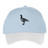 Classic 5-panel snapback (6007) Vignette